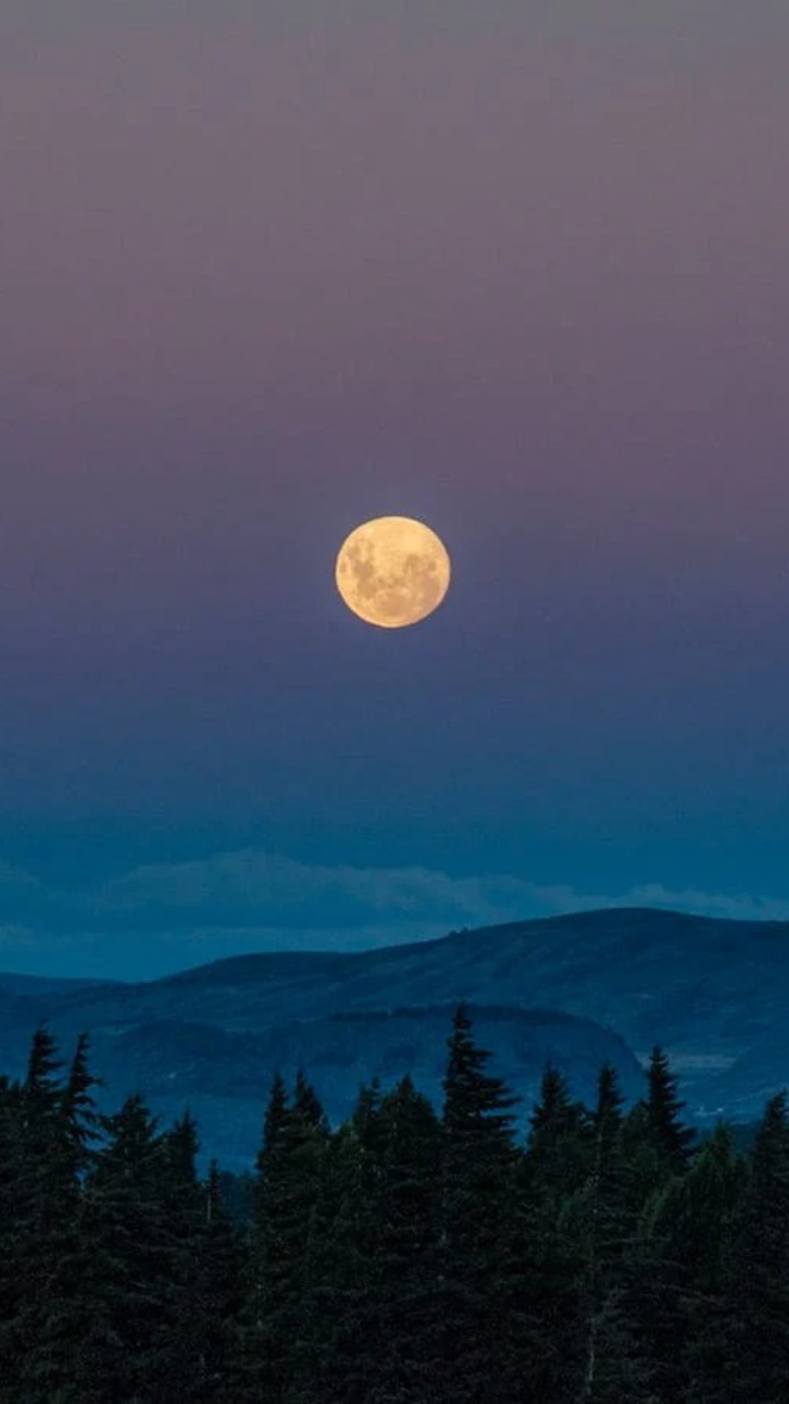 Top 10 Interesting Facts About The Moon