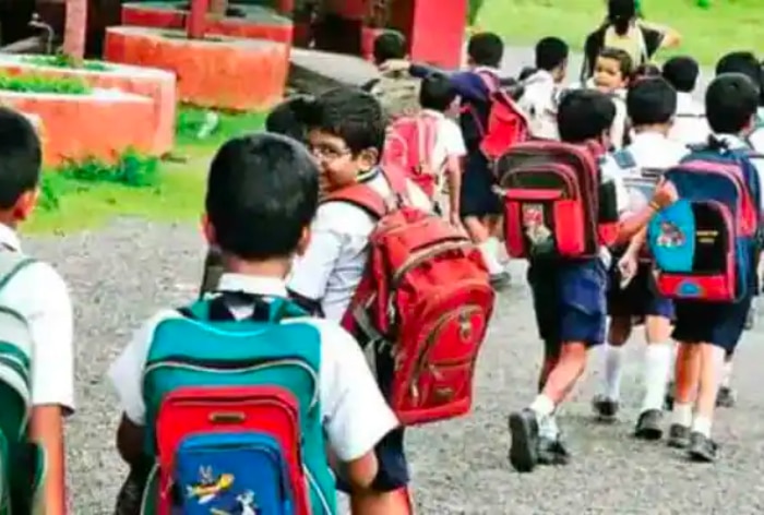 NVS Class 6 Admission 2024: Apply Till August 25 At navodaya.gov.in