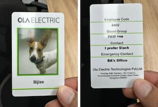 Meet Bijlee: Ola CEO Bhavish Aggarwal Introduces Company’s New Employee