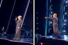 Adele Schools Security Officials For Bothering Fan