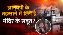 गुंबद-तहखाने में छिपा है राज! असली सच से हर कोई हैरान । Gyanvapi ASI Survey