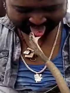 पहले सांप से डसवाया, फिर जिंदा मुंह में भर लिया किंग कोबरा