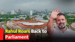 Rahul Gandhi Returns As MP In Parliament After Lok Sabha Secretariat Restores His Membership