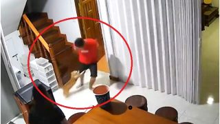 Viral Video: Cat Switches to ‘Beast Mode,’ Attacks Owner For No Reason