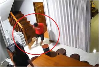 Viral Video: Cat Switches to    Beast Mode,    Attacks Owner For No Reason