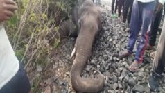 असम: गलती से तेज रफ्तार ट्रेन के सामने आया हाथी, टकराते ही मौत हो गई