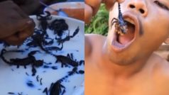 Bichhoo Ka Video: लाल चटनी में डाला जिंदा बिच्छू, फिर चबाकर खा गया शख्स | हिला देगा ये वीडियो