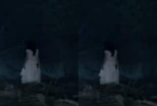 Viral Video Today: रात भर भूत के डर से पढ़ती रही हनुमान चालीसा, सुबह देखा तो तोते उड़ गए | देखिए वीडियो