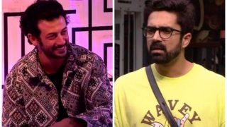 Bigg Boss OTT 2: Jad Hadid And Avinash Sachdev Get Ousted From The House During Double-Elimination