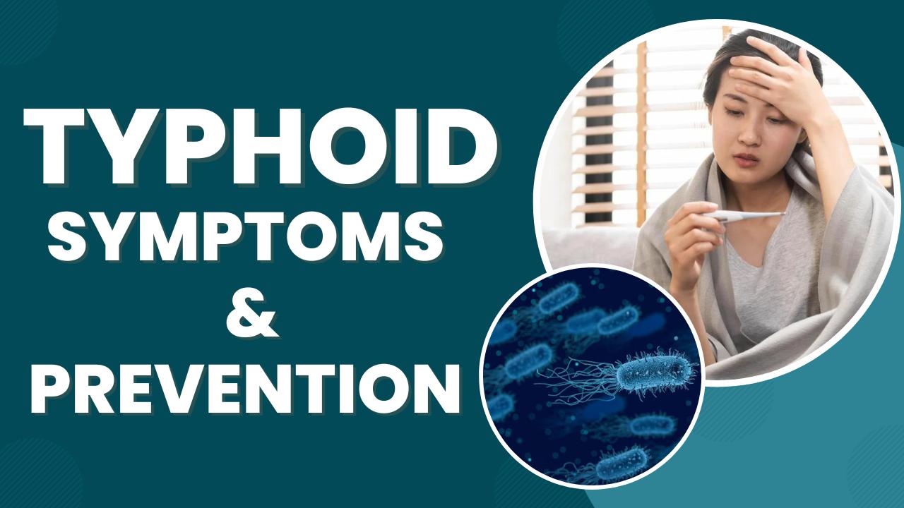Typhoid Cases On Rise In India, Know Early Signs, Symptoms And Preventive Measures - Watch Video