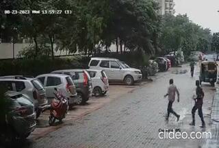 Dog Attack Video: पहले सिक्योरिटी गार्ड को काटा, फिर स्कूटी सवार महिला को कुत्तों के झुंड ने दौड़ाया | देखें वीडियो