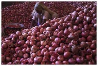 Duty Hike On Onion Export: प्याज पर 40 फीसदी एक्सपोर्ट ड्यूटी बढ़ाने से किसको हो रहा फायदा?