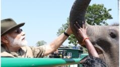 World Elephant Day: PM मोदी ने हाथियों के साथ इस तरह बिताया वक़्त, शेयर किए फोटोज