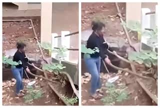 Viral Video: Woman Catches 2 Snakes Barehanded, Faces Backlash From Internet