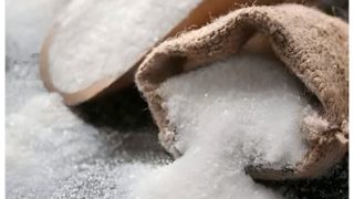 सात साल में पहली बार Sugar Export पर क्यों Ban लगाना चाहता है भारत? | Explained