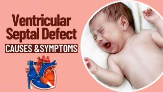 Bipasha Basu's Daughter Has Ventricular Septal Defect, Know Causes And Symptoms Of This Heart Issue - Watch Video