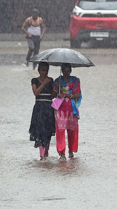 india.com webstories