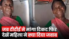 Viral Video: जब टीटीई ने पूछा 'टिकट कहां हैं'?, तो महिला ने दिया दिल जीत लेने वाला जवाब, देखें VIDEO