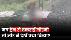 Viral Video: इंदौर में ट्रेन से टकराकर मोरनी की मौत, एक घंटे तक उसे उठाने की कोशिश करता रहा मोर, देखें भावुक कर देने वाला वीडियो