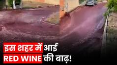 Red Wine Flood Video: इस शहर में आई Red Wine की बाढ़, वीडियो देख आप भी रह जाएंगे दंग | Watch Video