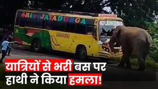 Elephant Attack Video: यात्रियों से भरी बस पर हाथी ने किया हमला, दहशत में आए लोग, वीडियो देख कांप उठेगा आपका कलेजा | Watch Video