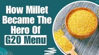 Delights at the G20 Summit: Benefits Of Eating Nutrient-Rich Millets