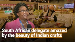G20 Summit: Indian crafts amaze South African G20 delegate