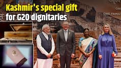 Take a look at Kashmir's special gift for G20 dignitaries