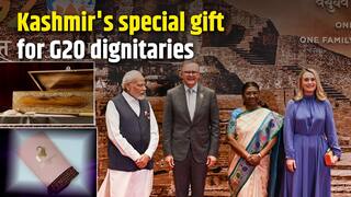 Take a look at Kashmir's special gift for G20 dignitaries