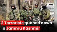 J&K: 2 terrorists gunned down by security forces in Rajouri