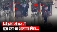 Viral Video: इमारत की खिड़की पर अचानक लटका अजगर, Video देख रोंगटे खड़े हो जाएंगे | Watch Video