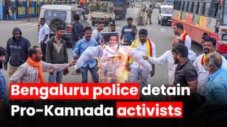 Karnataka bandh: Pro Kannada organisation members detained by Bengaluru Police
