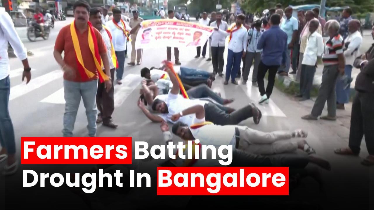 Drought-hit Indian farmers protest against sharing of river water