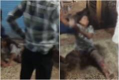 'Bhaiya Mat Maro': Mentally-Challenged Woman Dragged, Kicked In Public In MP's Sagar; Disturbing VIDEO Surfaces