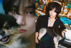 BTS V 's Heartbreaking Revelation About Pet Dog's Heart Problems Leaves Netizens in Tears