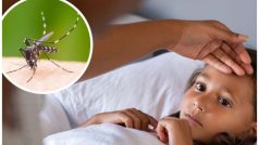 डेंगू बुखार नॉर्मल बुखार से कैसे है अलग? ऐसे पहचानें लक्षण