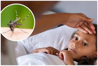 डेंगू बुखार नॉर्मल बुखार से कैसे है अलग? ऐसे पहचानें लक्षण