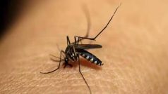 झारखंड में Dengue-Chikungunya का कहर, 1500 से ज्यादा हुई मरीजों की संख्या
