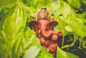 india.com top news