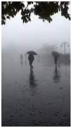 IMD Weather update: Heavy Rains in Odisha, Chhattisgarh And THESE States