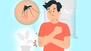 Malaria Cases Rise in Mumbai: 5 Home Remedies to Prevent And Protect Yourself From Mosquito Bites
