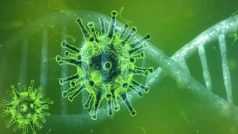 Nipah Virus क्या है? कहां से आया, पहली बार किसे हुआ, इसके लक्षण और इलाज