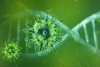 Nipah Virus क्या है, कहां से आया, पहली बार किसे हुआ, इसके लक्षण और इलाज