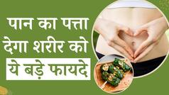 Betel Leaf Benefits: पान का पत्ता खाने से रहेंगे स्वास्थ्य संबंधी परेशानियों से दूर, जानें इसके हैरान करने वाले फायदे - WATCH