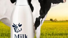 भैंस से गधे तक 8 जानवरों का दूध जो मनुष्य पी सकता है