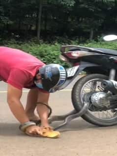 दौड़ती स्कूटी में निकल आया कोबरा, डरा देगा आगे का नजारा