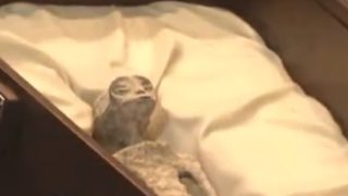 Shocking Video: इस देश की संसद में रखी गई Alien Dead Body, 1000 साल पुराना शव देखकर घूम जाएगा दिमाग