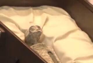 3 उंगलियों वाली Alien Dead Body देखकर रह जाएंगे दंग! इस देश की संसद में दिखाई गई