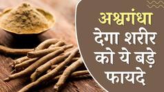 Ashwagandha Benefits: सेहत को कई बड़े लाभ दे सकता है अश्वगंधा, जानें इसके अनोखे फायदे - Watch Video