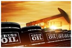 Crude Oil Prices Rose By Rs. 44 To Rs.6,570, Cottonseed Oil Cake Prices Climbed By Rs.10